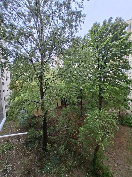 Obor, Colentina, Teiul Doamnei vav Sectia 7 Politie